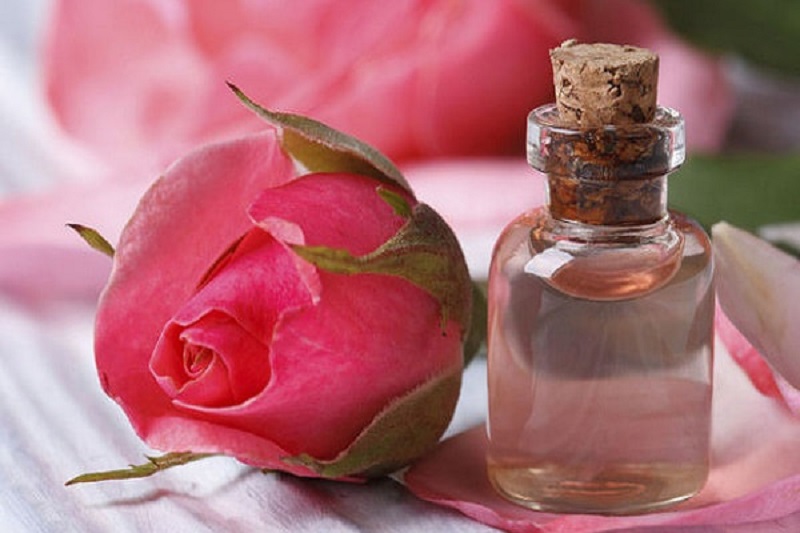 Cách làm tinh dầu hoa hồng tại nhà đơn giản, an toàn