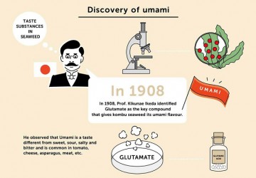 Những sự thật thú vị và bất ngờ về vị umami