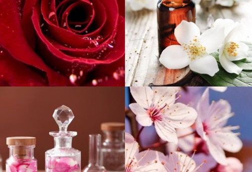 Hương Thơm (Fragrances)  là sức mạnh trong kinh doanh Hóa mỹ phẩm