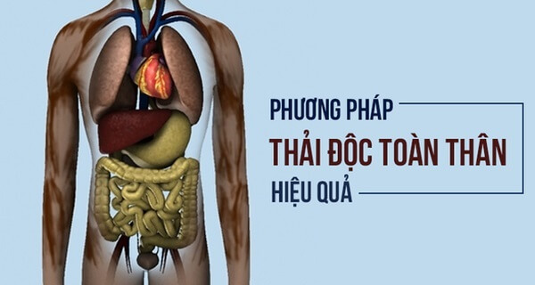 Bột nưa có tác dụng gì?