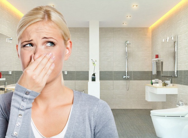 9 cách làm thơm nhà vệ sinh như khách sạn rẻ và an toàn