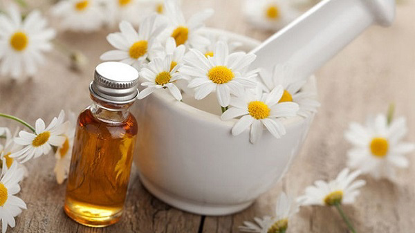 Tinh dầu hoa cúc: 5 lợi ích và cách làm đơn giản tại nhà