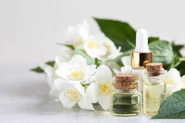 Lợi ích sức khỏe tinh dầu hoa lài, hoa nhài Jasmine