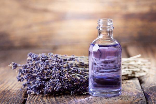 Tinh dầu hoa oải hương lavender có tác dụng gì?