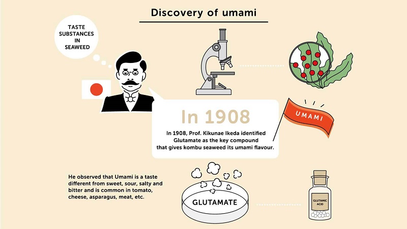 Vị Umami được phát minh vào năm 1908 tại Nhật Bản