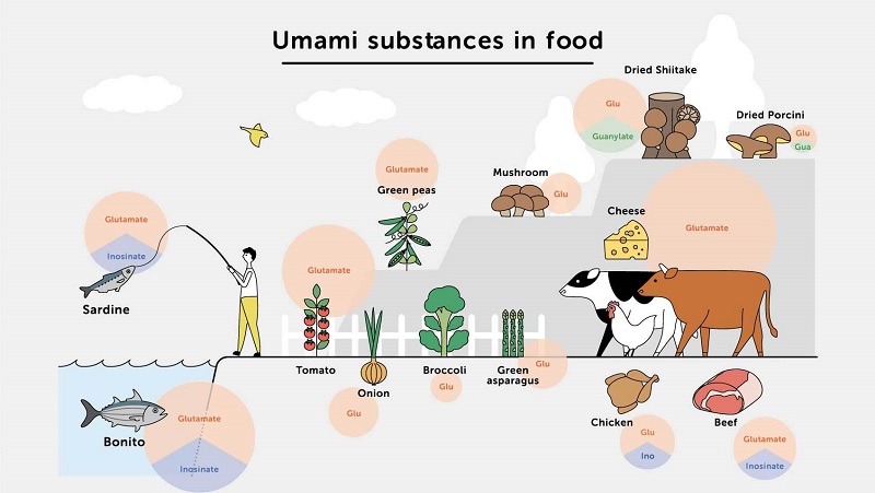 Umami có trong rất nhiều loại thực phẩm hiện nay