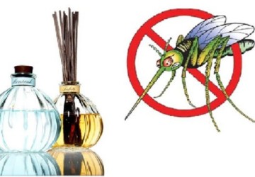 5 loại tinh dầu đuổi muỗi và côn trùng tốt nhất