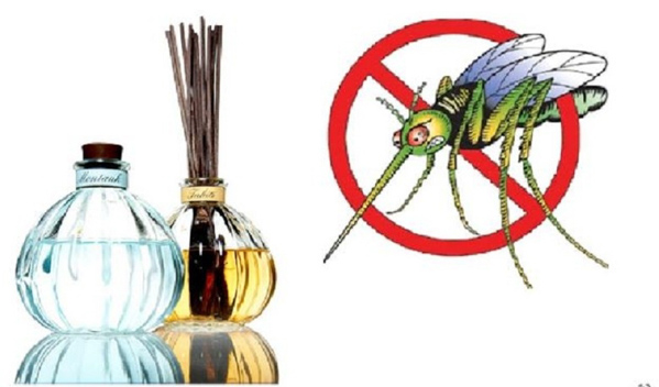 5 loại tinh dầu đuổi muỗi và côn trùng tốt nhất